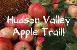 Hudson Valley Apple Trail