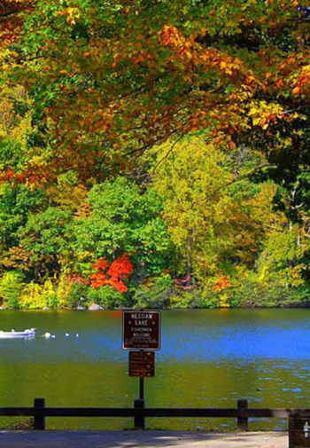 Trees with red, orange, yellow and green leaves over a river with a sign in front of a road.