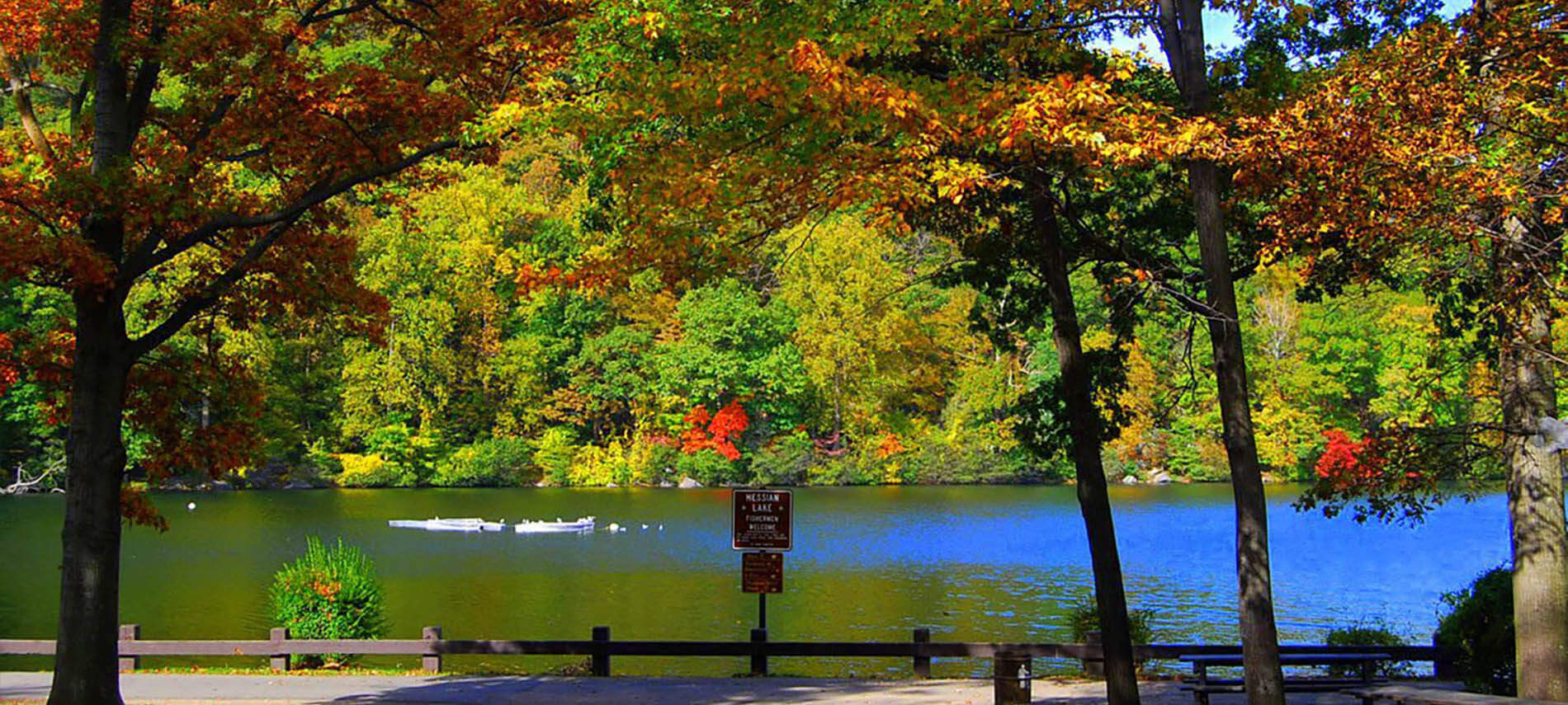 Trees with red, orange, yellow and green leaves over a river with a sign in front of a road.