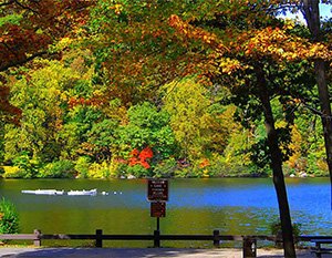 Trees with red, orage, yellow and green leaves over a river with a sign in front of a road.