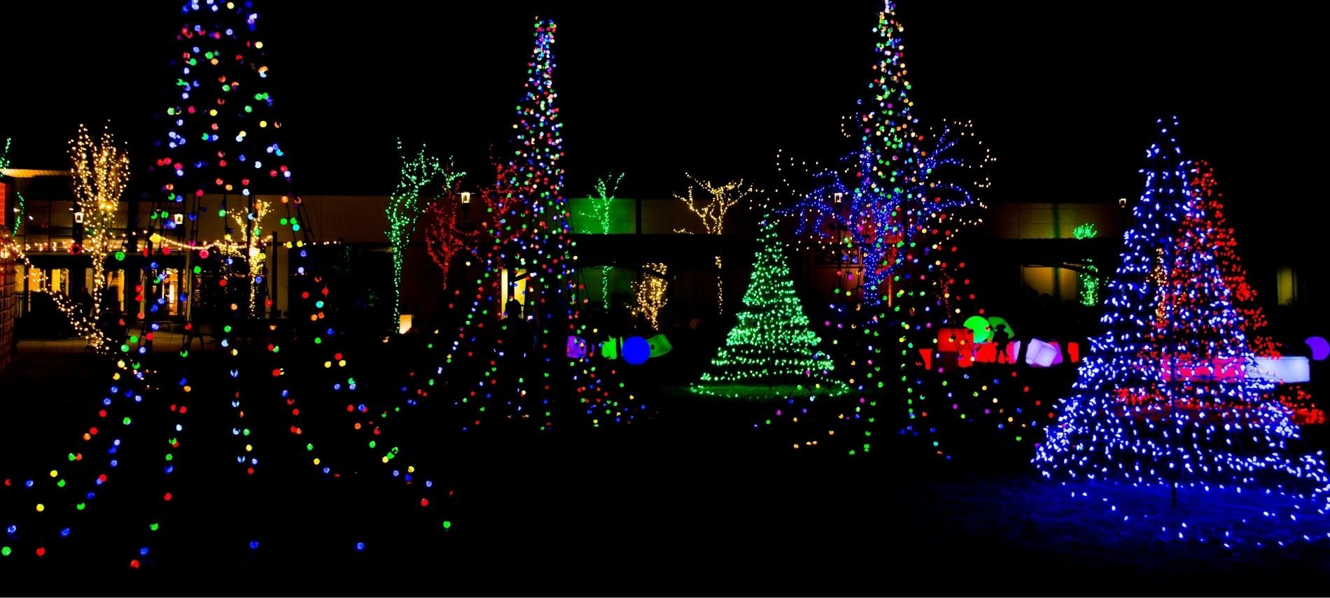 Large yard with several trees lit up with multi-colored Christmas lights