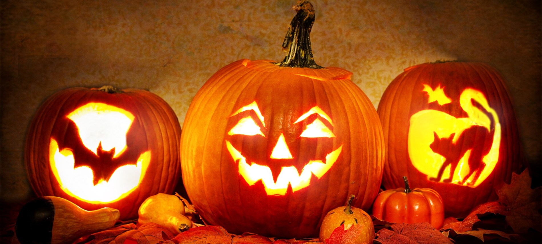 Three pumpkins carved with various faces and designs lit up against a yellow background