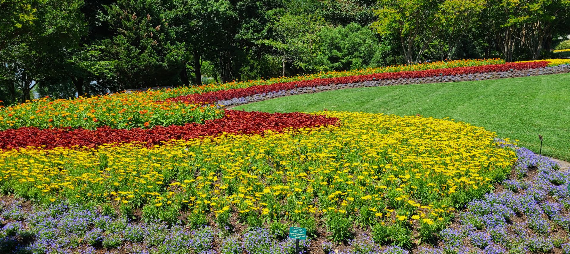 flowers growing at a public garden with a paved walkway beside them