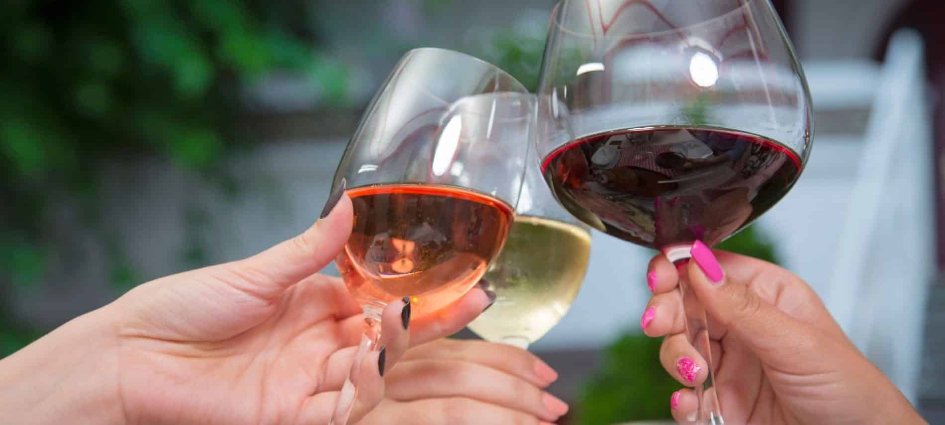 Ladies toasting with wine