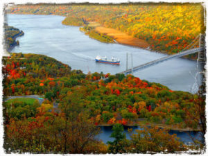 Fall colors in the Hudson Valley - photo by Sudhagar Shanmugasigamani on Unsplash