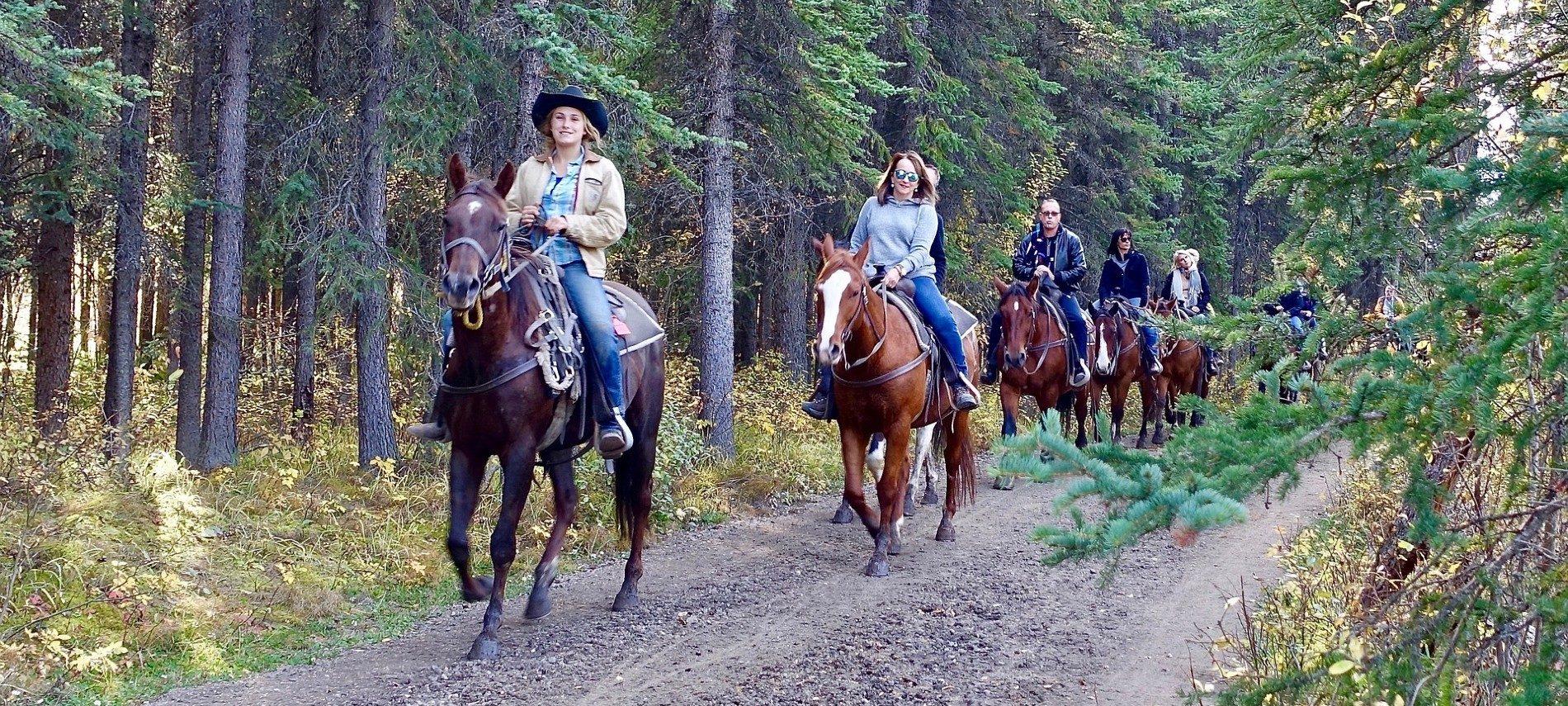 A group of people on brown horses being led by a guide on a trail through the woods