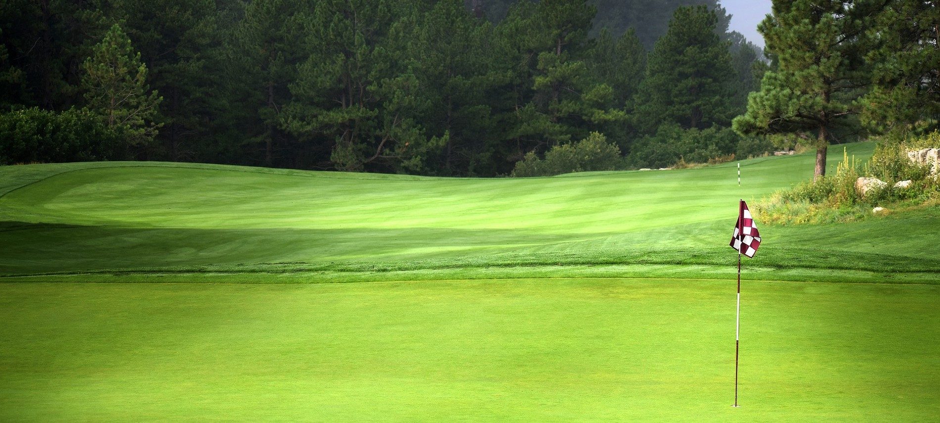 Golf course green with tall checkered flag in the hole and trees in the background