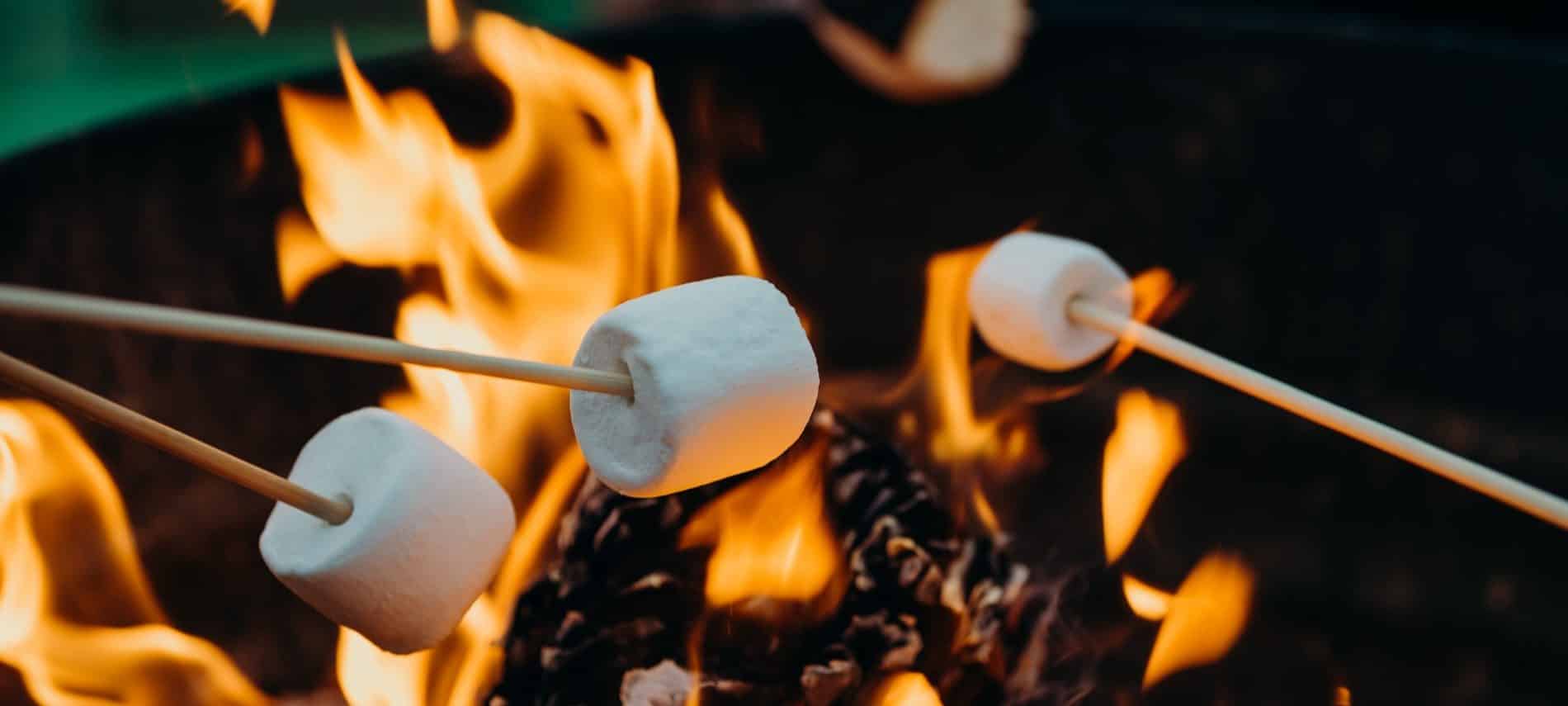 Roaring fire with several wooden sticks holding fresh white marshmallows being roasted