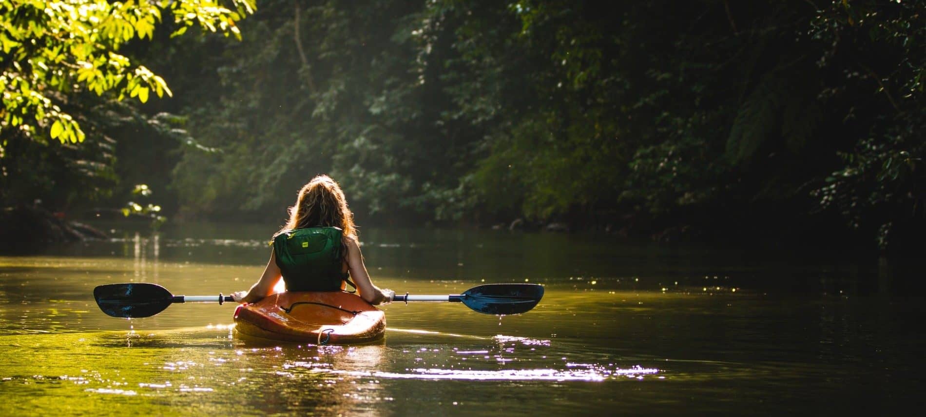 One lone kayaker paddling down a river surrounded by trees and greenery in soft sunlight