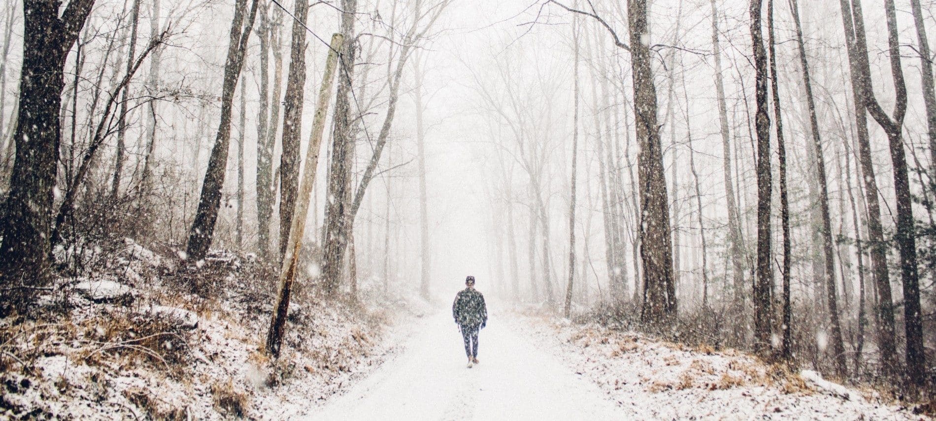 Single trail in the woods with freshly falling snow and one man walking alone